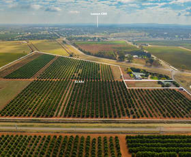 Development / Land commercial property sold at Dempsey Road Leeton NSW 2705