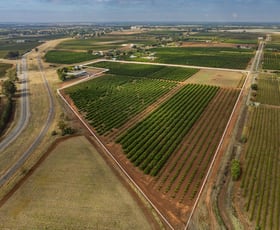 Development / Land commercial property sold at Dempsey Road Leeton NSW 2705