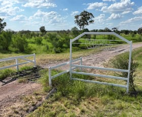 Rural / Farming commercial property for sale at 663 Tango Road Alpha QLD 4724