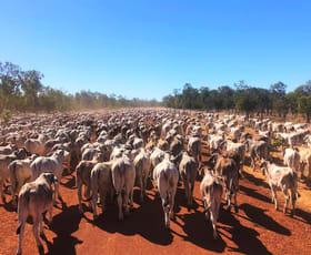 Rural / Farming commercial property for sale at 0 Gulf Developmental Road Croydon QLD 4871