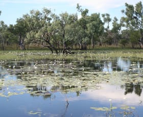 Rural / Farming commercial property for sale at None Coralie Coralie QLD 4871