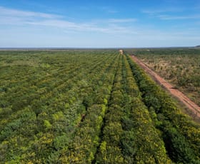 Rural / Farming commercial property sold at Douglas-daly NT 0822