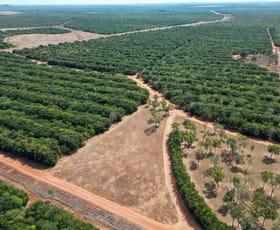 Rural / Farming commercial property sold at Douglas-daly NT 0822