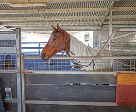 Rural / Farming commercial property for sale at Warrnambool VIC 3280