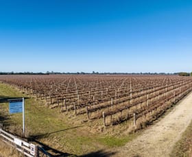 Rural / Farming commercial property sold at Limestone Quarry Vineyard 718 Rochow Wrays Road Koppamurra SA 5271