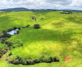 Rural / Farming commercial property for sale at Evelyn QLD 4888