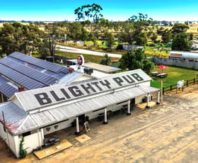 Hotel, Motel, Pub & Leisure commercial property for sale at 18948 Riverina Highway Blighty NSW 2713