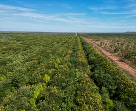 Rural / Farming commercial property sold at Douglas-daly NT 0822