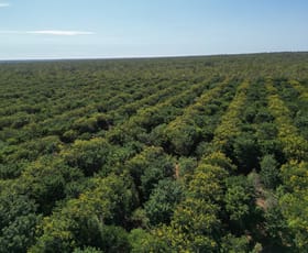 Rural / Farming commercial property sold at Douglas-daly NT 0822