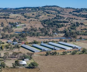 Rural / Farming commercial property for sale at 455-515 Haigslea Malabar Road Marburg QLD 4346