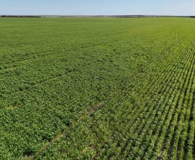 Rural / Farming commercial property for sale at Kadathinni WA 6519