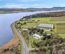 Rural / Farming commercial property for sale at 307 Lyell Highway Granton TAS 7030