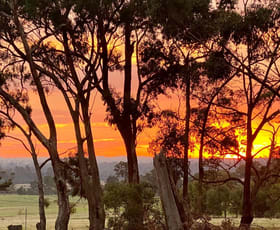 Hotel, Motel, Pub & Leisure commercial property for sale at 2493 Northern Grampians Road Grampians VIC 3314