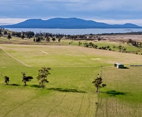 Rural / Farming commercial property for sale at 1019 Rheban Road Orford TAS 7190