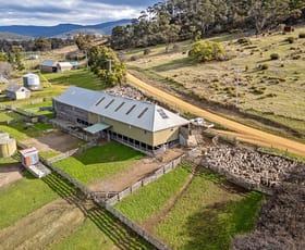 Rural / Farming commercial property for sale at 1019 Rheban Road Orford TAS 7190