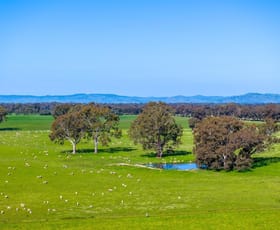 Rural / Farming commercial property for sale at Euroa VIC 3666