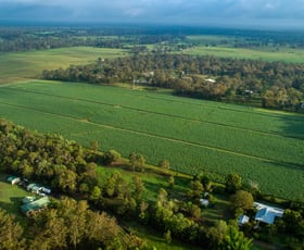 Rural / Farming commercial property sold at 50 Bosel Road Tinana QLD 4650