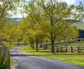 Rural / Farming commercial property sold at 200 Mount Norway Road Oberon NSW 2787
