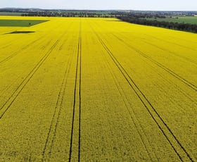 Rural / Farming commercial property sold at 5055 Lachlan Valley Way Gooloogong NSW 2805