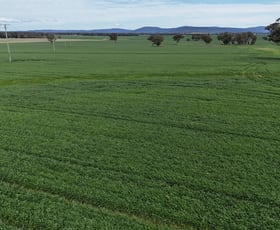 Rural / Farming commercial property sold at 5055 Lachlan Valley Way Gooloogong NSW 2805