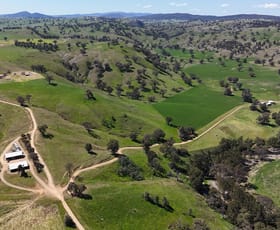Rural / Farming commercial property for sale at 647 Canomodine Lane Canowindra NSW 2804