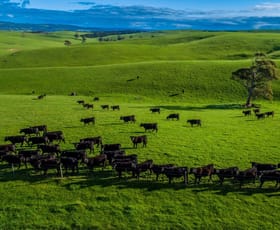 Rural / Farming commercial property for sale at Hilltop Farm Old Sellicks Hill Road Sellicks Hill SA 5174