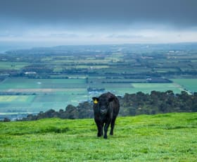 Rural / Farming commercial property for sale at Hilltop Farm Old Sellicks Hill Road Sellicks Hill SA 5174