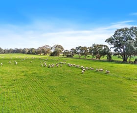 Rural / Farming commercial property for sale at Pinewood, 870 Walshs Bridge Road Kaarimba VIC 3635