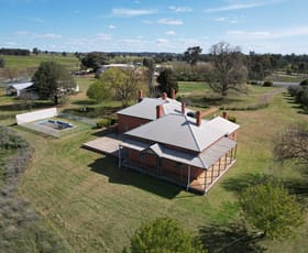 Rural / Farming commercial property sold at 2438 Humula Road Tarcutta NSW 2652