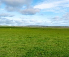 Rural / Farming commercial property for sale at Rushy Lagoon TAS 7264