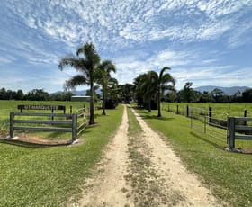 Rural / Farming commercial property for sale at 1256 Tully Gorge Road Jarra Creek QLD 4854