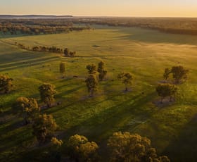 Rural / Farming commercial property for sale at 674 Old Wagga Road Narrandera NSW 2700