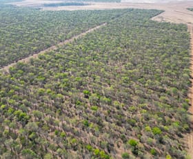 Rural / Farming commercial property for sale at Douglas-daly NT 0822