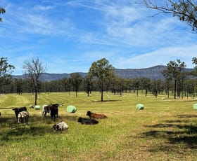 Rural / Farming commercial property sold at 694 Hermitage Road Pokolbin NSW 2320