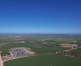 Rural / Farming commercial property for sale at 85 Wandel Rd Owen SA 5460