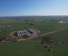 Rural / Farming commercial property for sale at 85 Wandel Rd Owen SA 5460