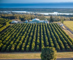 Rural / Farming commercial property for sale at 97 Rocky Point Road Winfield QLD 4670