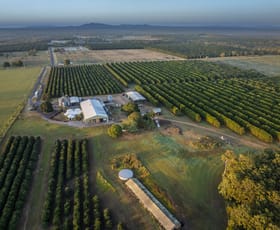 Rural / Farming commercial property for sale at 97 Rocky Point Road Winfield QLD 4670