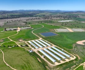 Rural / Farming commercial property for sale at Tharri 307 Rushes Creek Road Klori NSW 2346