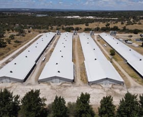 Rural / Farming commercial property for sale at Wongin 259 King Road Oldbury WA 6121