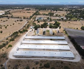 Rural / Farming commercial property for sale at Wongin 259 King Road Oldbury WA 6121