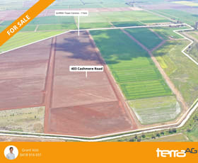 Rural / Farming commercial property for sale at Farm 2528/403 Cashmere Road Widgelli NSW 2680