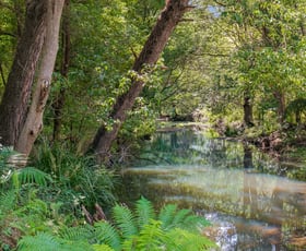 Rural / Farming commercial property for sale at 253 Palmvale Road Palmvale NSW 2484