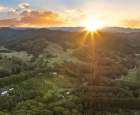 Rural / Farming commercial property for sale at 253 Palmvale Road Palmvale NSW 2484