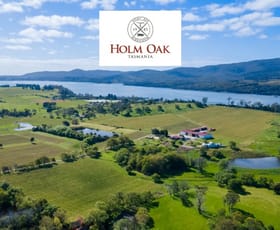 Rural / Farming commercial property for sale at 11 West Bay Road Rowella TAS 7270