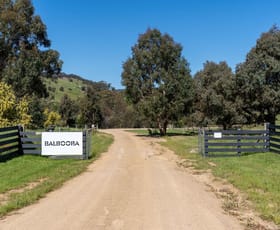 Rural / Farming commercial property for sale at Pastoria VIC 3444