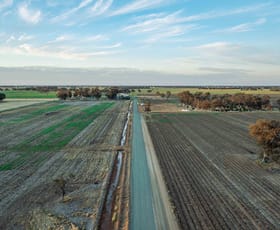 Rural / Farming commercial property for sale at 1000 Webb Road Timmering VIC 3561