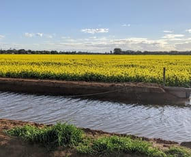 Rural / Farming commercial property for sale at 44 White Road Kyabram VIC 3620