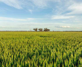 Rural / Farming commercial property for sale at 44 White Road Kyabram VIC 3620