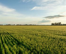 Rural / Farming commercial property for sale at 32 Murphy Road Tongala VIC 3621